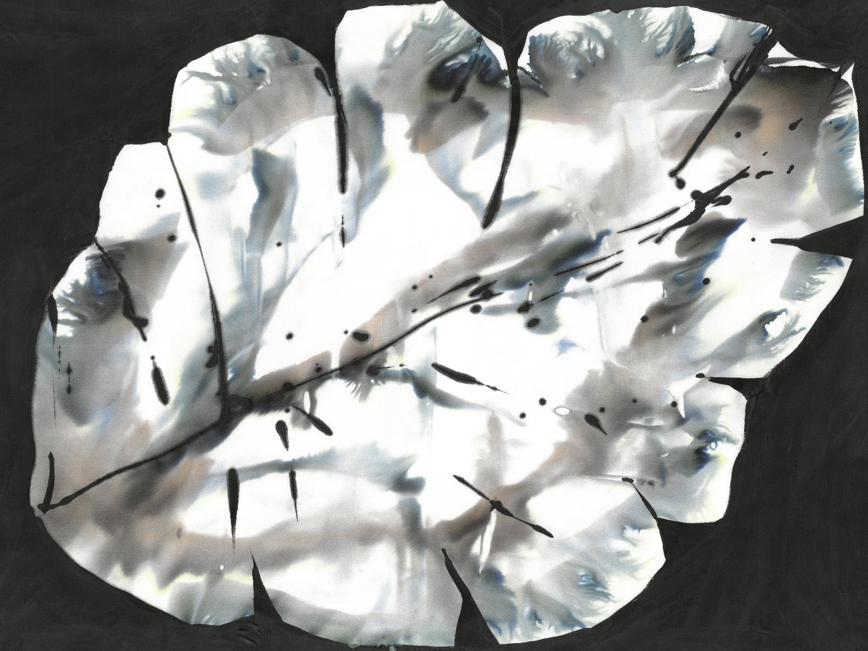 Verwöhnen Sie Ihre Sinne mit der luxuriösen Leichtigkeit italienischer Wolle und Seide.&nbsp;Weiche&nbsp;Wolle trifft auf feinste Seide&nbsp;– luxuriös leicht, wunderbar wärmend und angenehm zur Haut. Ideal für die kalte Jahreszeit.

Mit kunstvoller Bedruckung präsentiert dieser Schal ein perfekt harmonierendes Design – für vielseitige Stylingmöglichkeiten und einen Hauch italienischer Raffinesse bei jedem Look.