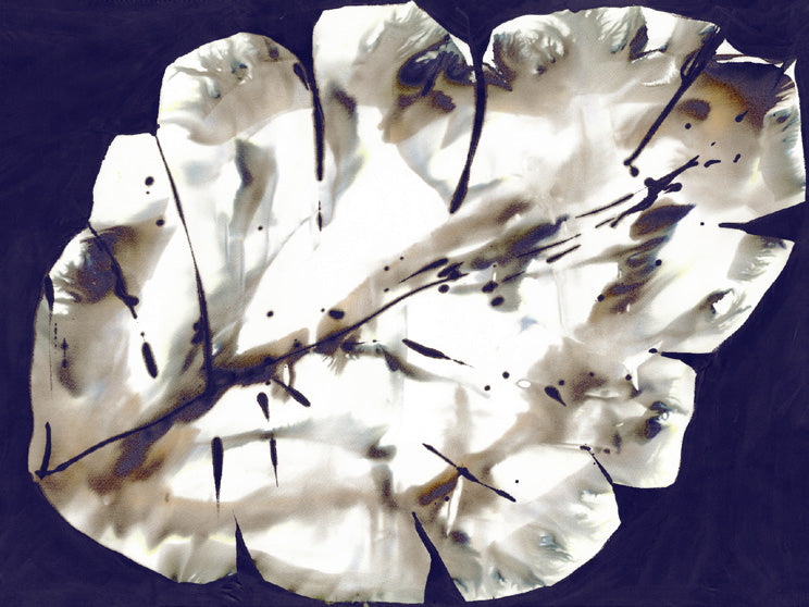 Verwöhnen Sie Ihre Sinne mit der luxuriösen Leichtigkeit italienischer Wolle und Seide.&nbsp;Weiche&nbsp;Wolle trifft auf feinste Seide&nbsp;– luxuriös leicht, wunderbar wärmend und angenehm zur Haut. Ideal für die kalte Jahreszeit.

Mit kunstvoller Bedruckung präsentiert dieser Schal ein perfekt harmonierendes Design – für vielseitige Stylingmöglichkeiten und einen Hauch italienischer Raffinesse bei jedem Look.